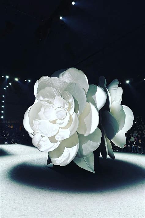 chanel flower arrangements|chanel camellia flower history.